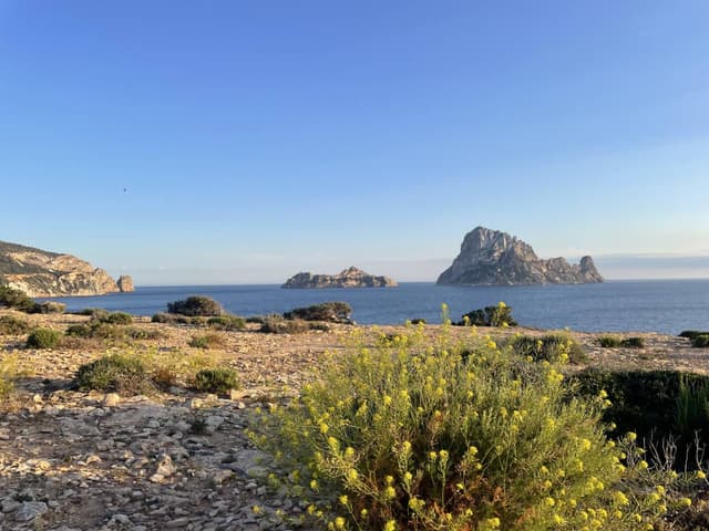 Photo 3 par Dominique B. sur la location d'un Fiat Panda en Espagne - aux Iles Baléares (01/05/25)