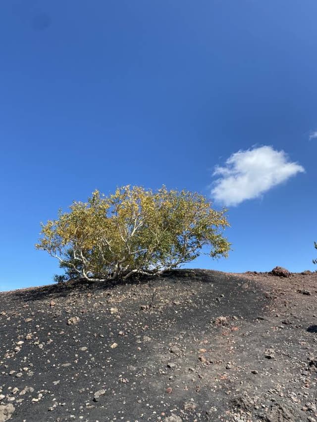 Foto 4 de Raimon P. sobre el alquiler de un Fiat 500X en Sicilia (6/10/24)