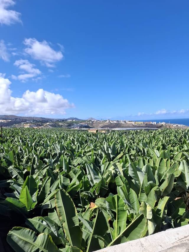 Foto door H T. (13-11-25)