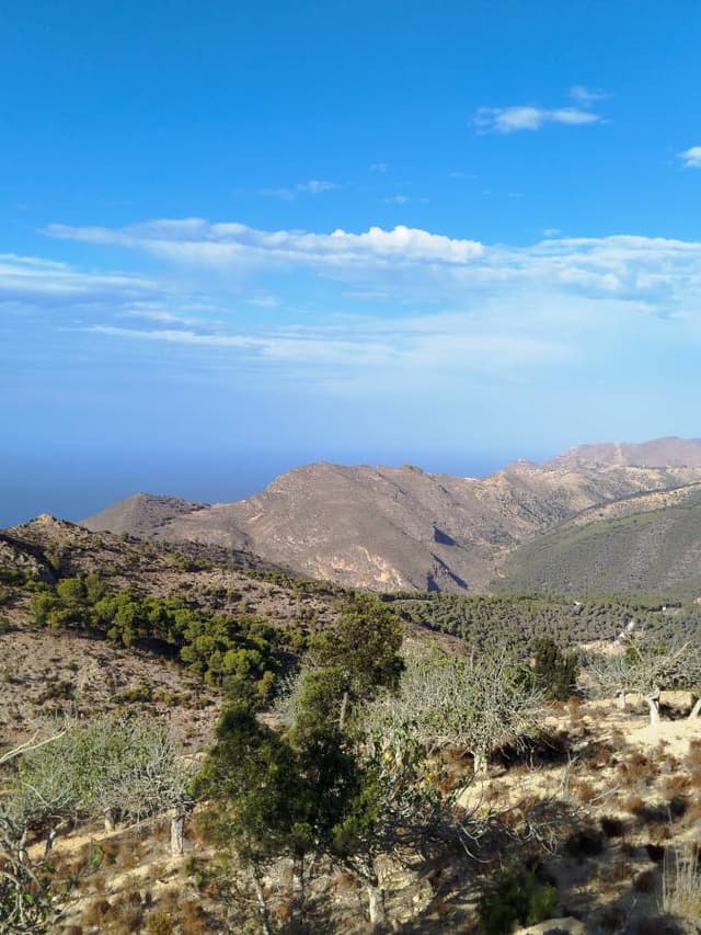 Photo par said M. sur la location d'un(e) Dacia Sandero à Nador (13/09/25)