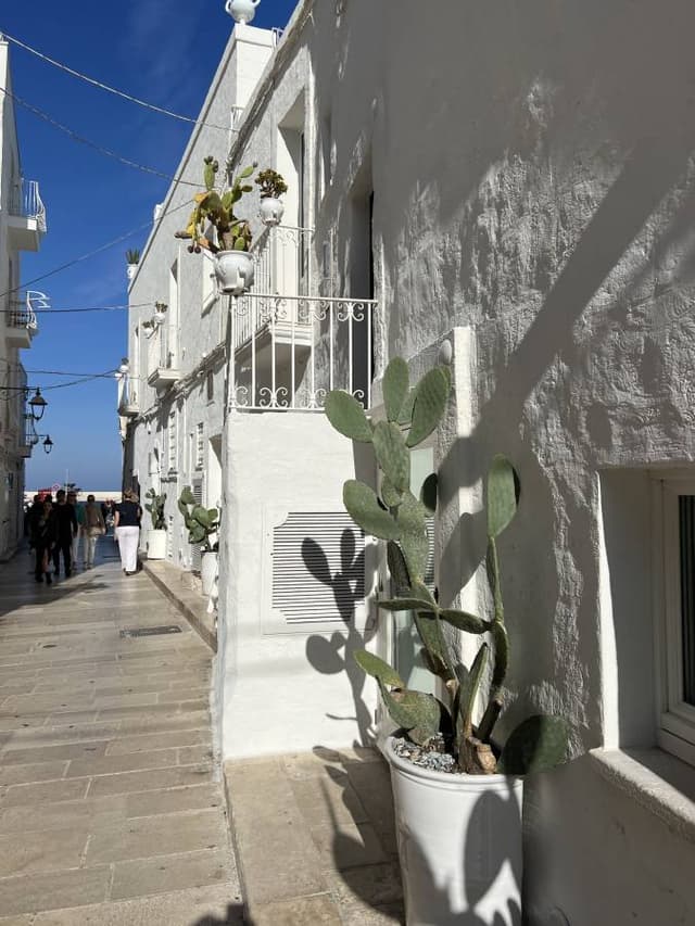 Zdjęcie 2 wykonane przez Marzena O. (11.11.25)