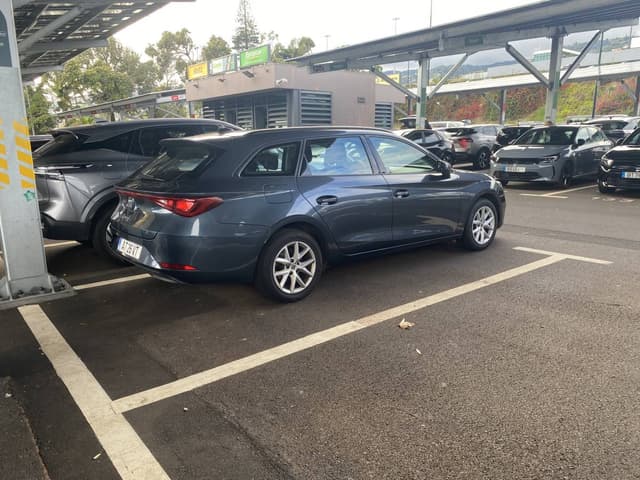 Photo by Diane K. (12/10/25)