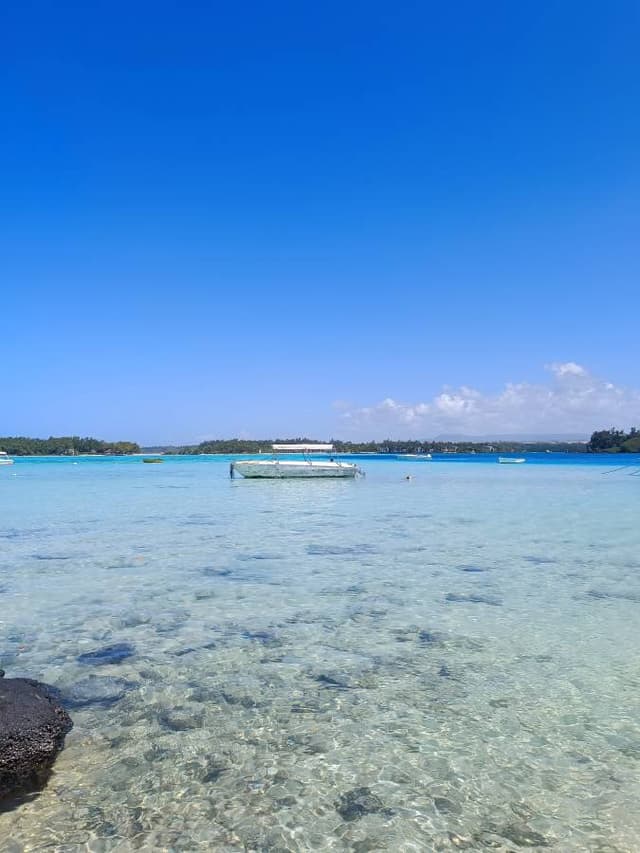 Foto di Antonio D. (05/09/23)