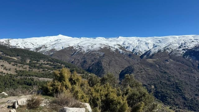 Foto 1 de Gustavo Martin N. (17/3/26)