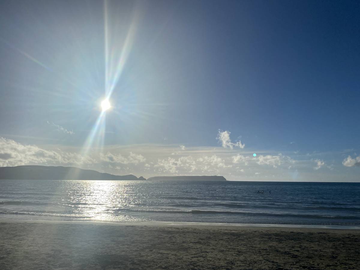 Photo 4 by Myles D. (1/11/24)