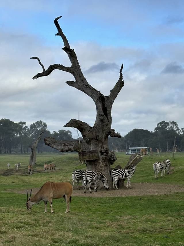 Photo 3 by Cindy O. (6/14/24)