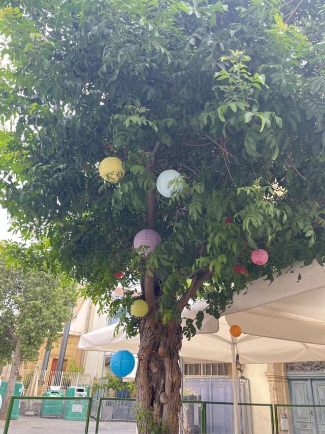 Photo 2 by Shona A. (5/31/25)