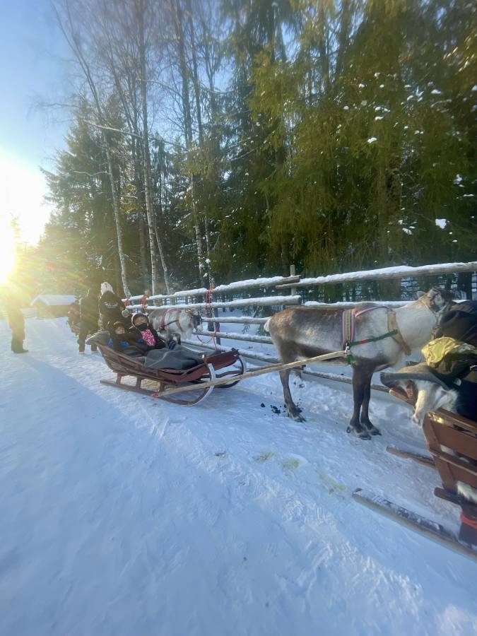 Photo 4 by Paul T. about hiring a Volkswagen Caravelle at Rovaniemi Airport (22/02/25)