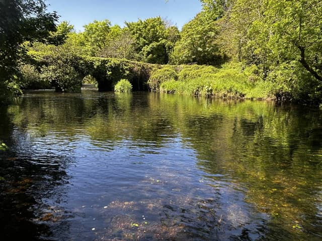 Photo 5 by David C. (5/25/26)