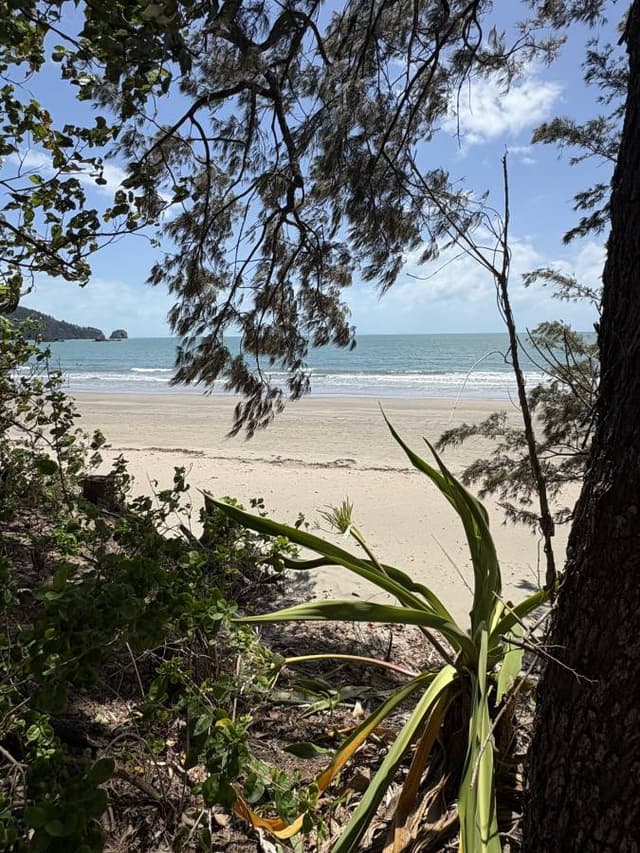 Photo 1 by Petrus V. (10/15/25)