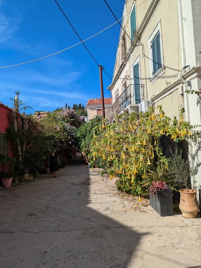 Photo 2 by antoinette V. about renting a Volkswagen Up in Kefalonia (10/19/24)