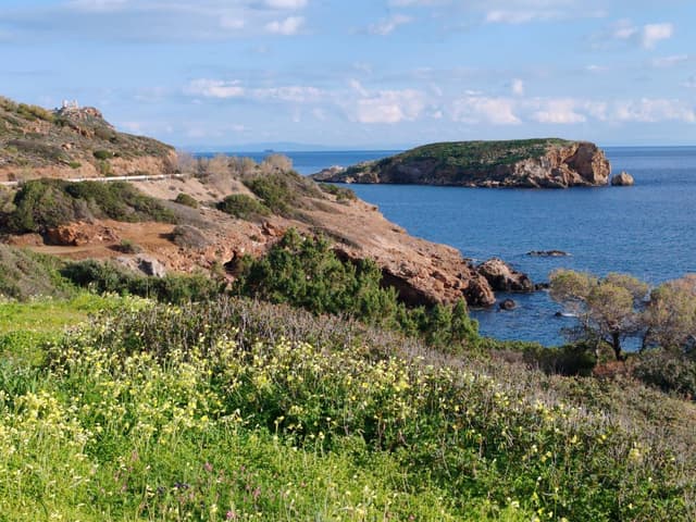 Foto 3 di Daniela G. (05/03/26)