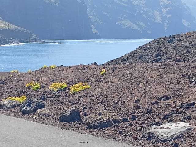 Photo 3 par Mohamed T. sur la location d'un Seat Ibiza en Espagne - aux Îles Canaries (11/06/25)