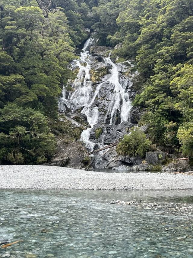 Photo 4 by Hillary E. (1/7/26)