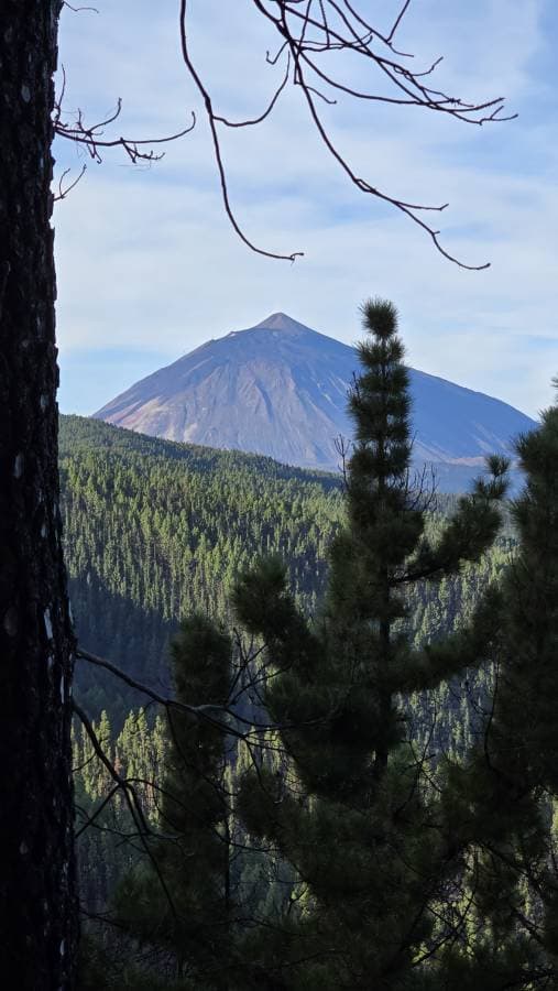 Fotografia 6 realizată de Cristina M. (06.12.25)