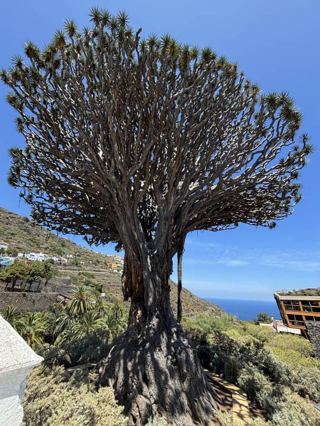Zdjęcie wykonane przez Michal G. (27.06.25)