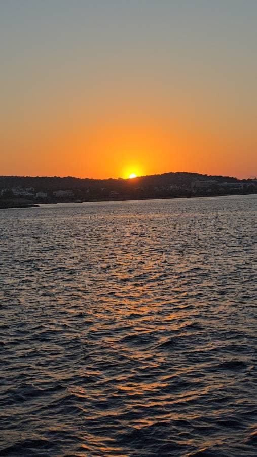 Fotografia 2 realizată de Stefan Alexandru P. (31.07.25)