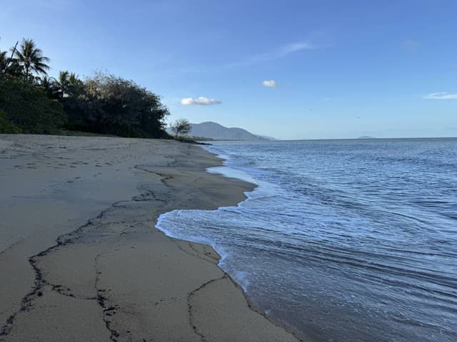 (25/11/24)のレンタルについて、Mansuke I. による写真 4
