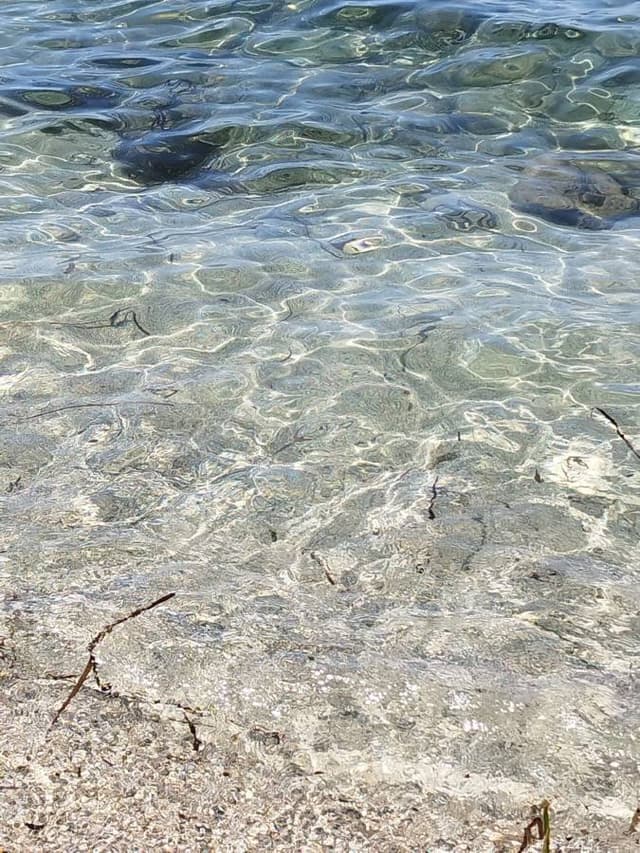 Foto 4 di Biagio D. (22/07/26)