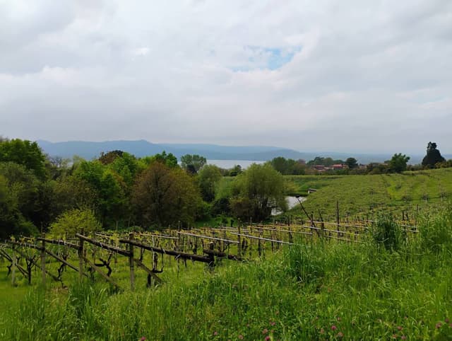 Photo 2 by Jeroen V. about renting a Fiat Panda in Italy (4/21/25)