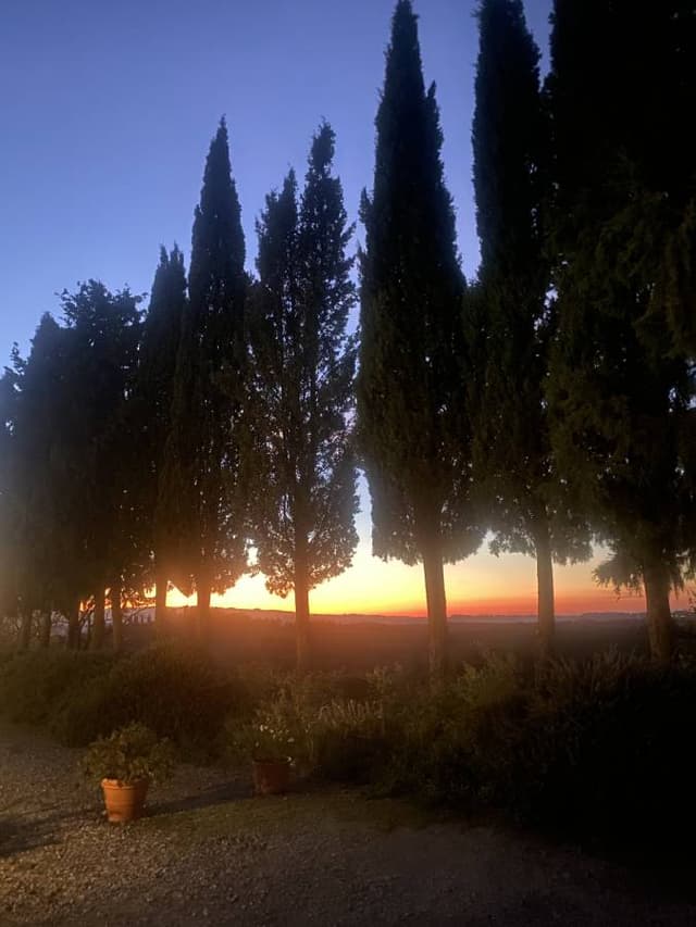 Photo 3 by Martin H. (10/20/25)