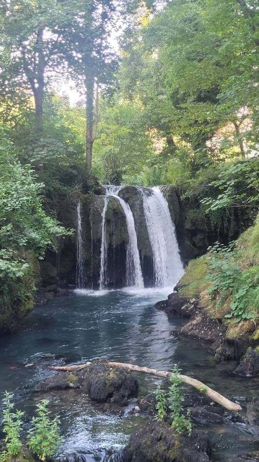 Photo 3 by Milica C. (8/26/25)