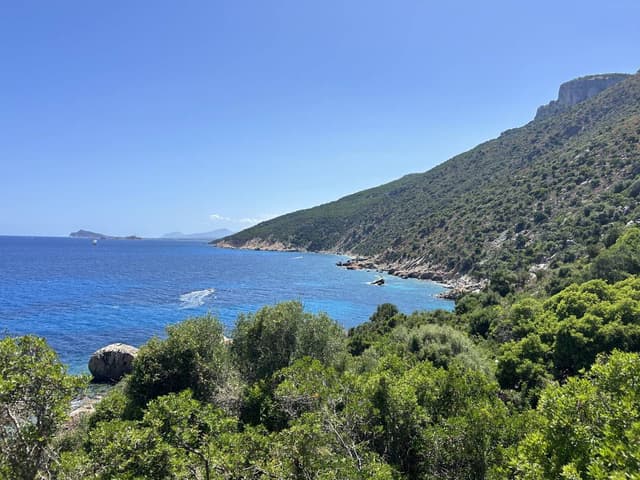 Photo 1 by Zita H. about hiring a Volkswagen Polo in Olbia (10/07/25)