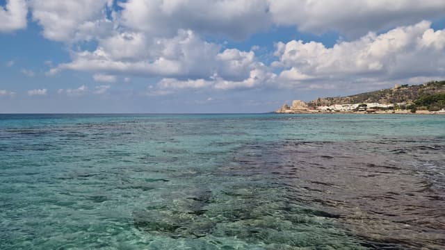 Foto 2 di ALEXANDER N. (25/10/25)