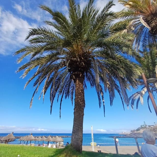 Foto 3 von Tiku Hanne Maria A. (26.10.25)