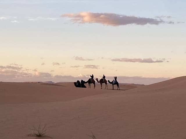 Zdjęcie 3 wykonane przez JANUSZ P. (3.01.26)