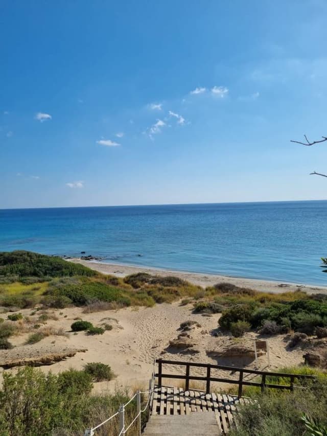 Photo par Valentin M. (09/11/22)