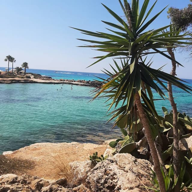 Fotografia 1 realizată de RADU CATALIN M. (11.07.22)