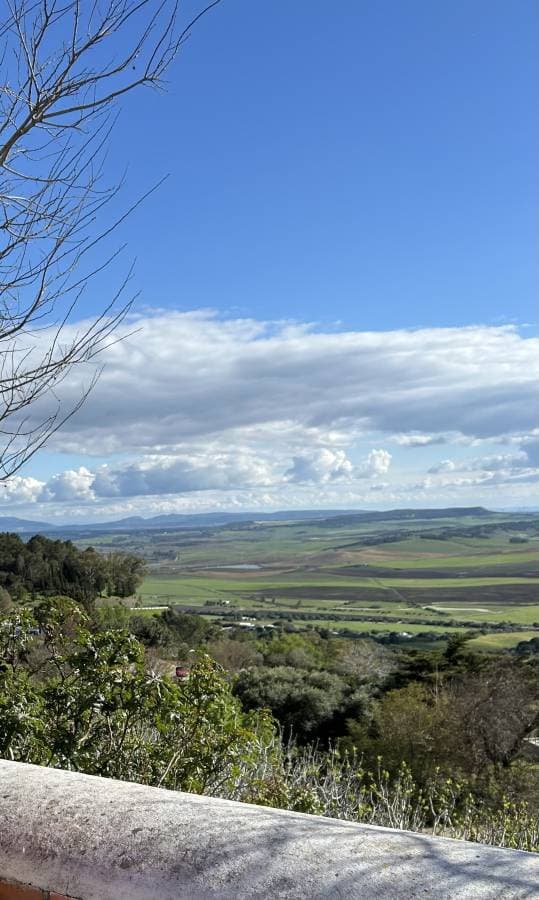 Photo by Gerard T. (3/15/26)