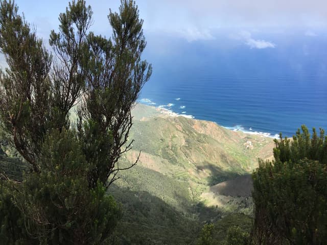 Bilde 2 av Erik S. om å leie en Seat Ibiza på Tenerife flyplass sør (13.3.23)