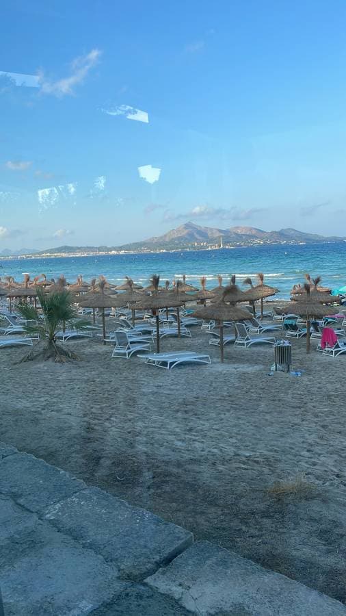 Foto 1 de Walter S. (22/8/22)