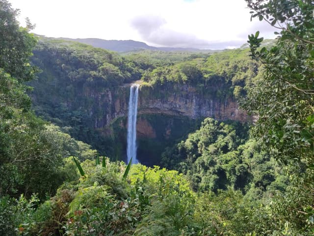 Photo 4 by Marius K. (7/7/25)