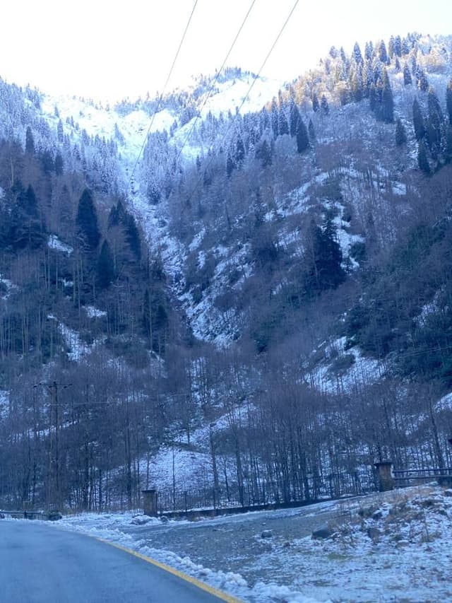 Photo 5 by Mustafa G. (1/8/24)