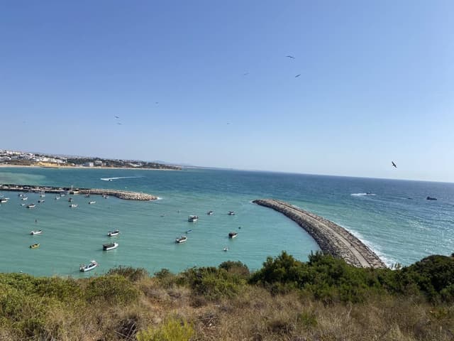 Photo 4 par SANDRA R. (17/10/25)