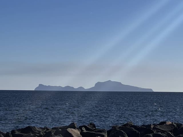 Photo 2 by Luigi D. (11/11/25)