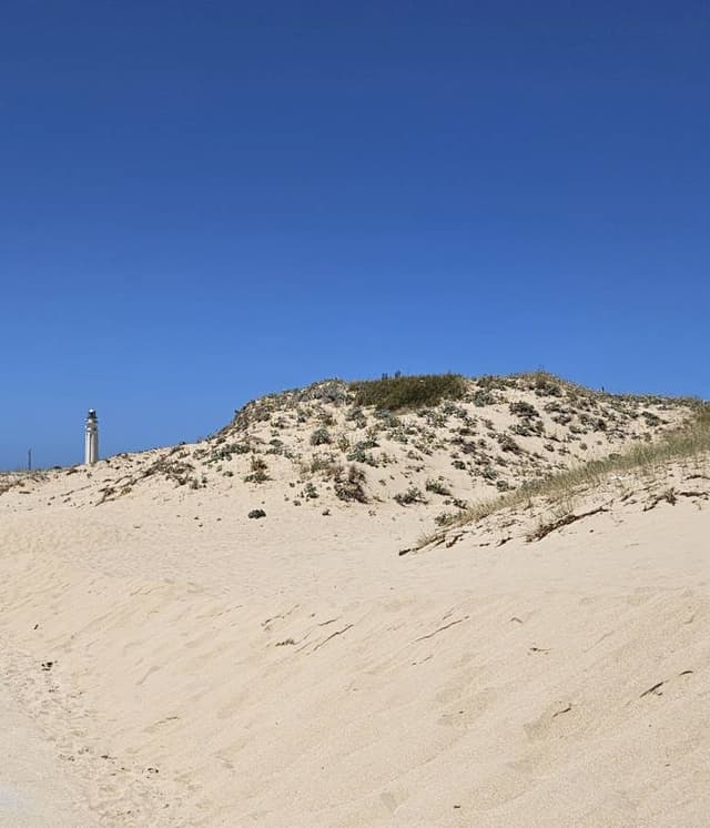 Foto 5 di Giuseppe M. (14/07/24)