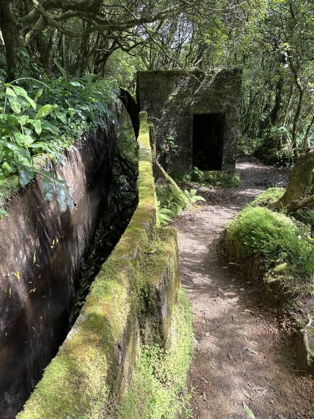 Foto 5 von Heinz M. über die Anmietung eines Fiat Panda am Flughafen Ponta Delgada (8.6.24)