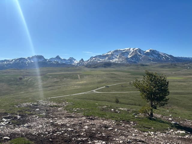 Photo 5 by Liam S. (5/10/26)