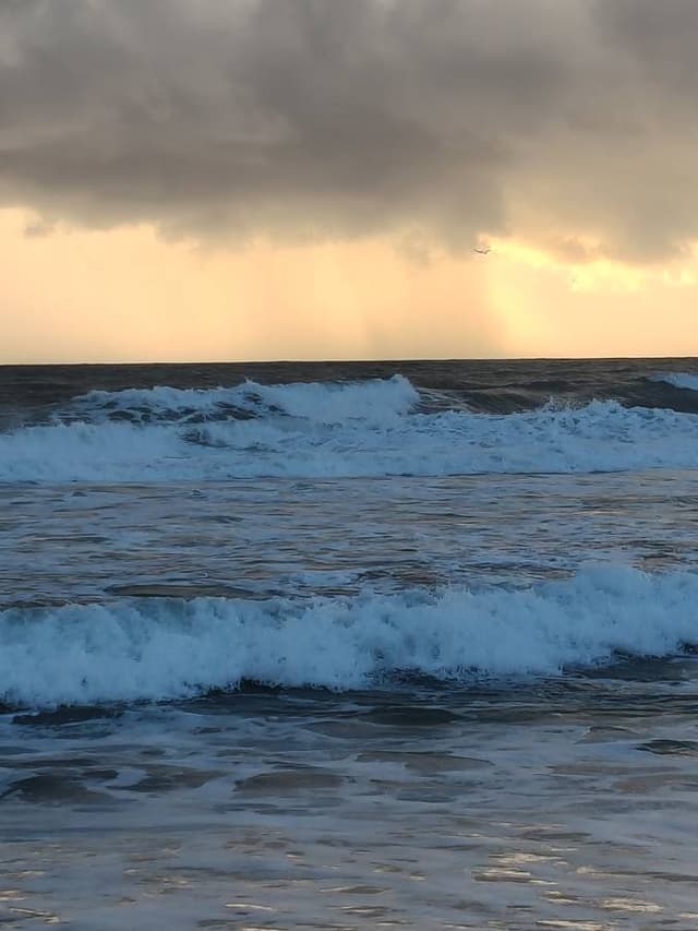 Foto 2 de Lourdes G. (21/11/25)