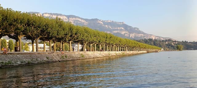Photo 2 by Renata C. about renting a Peugeot 2008 in Lyon (9/9/23)
