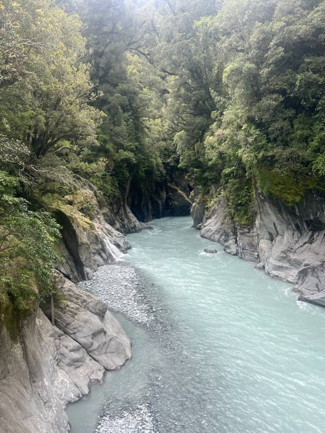 Photo 5 by Hillary E. (1/7/26)