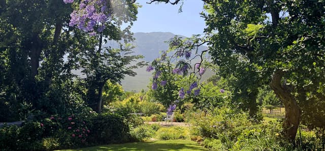 Foto 7 van Jelle J. (2-12-25)