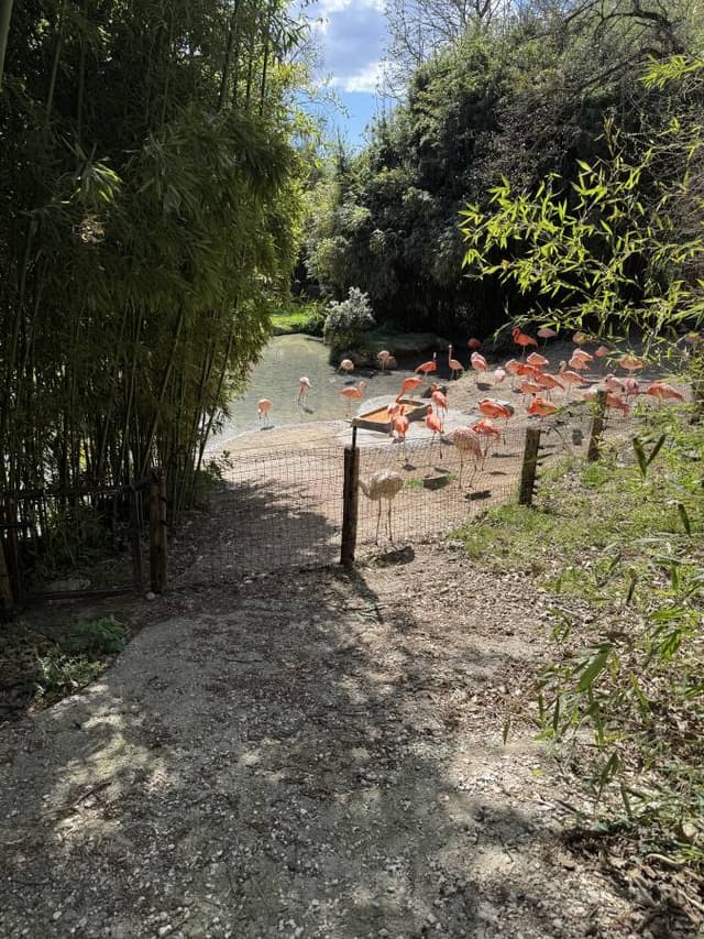 Photo 2 by TADAS N. (4/10/26)