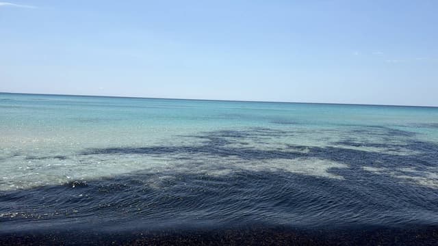 Foto 5 de EDMILSON V. (25/04/26)