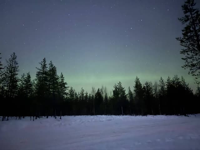 Photo 2 by Juan Jose L. (12/31/25)