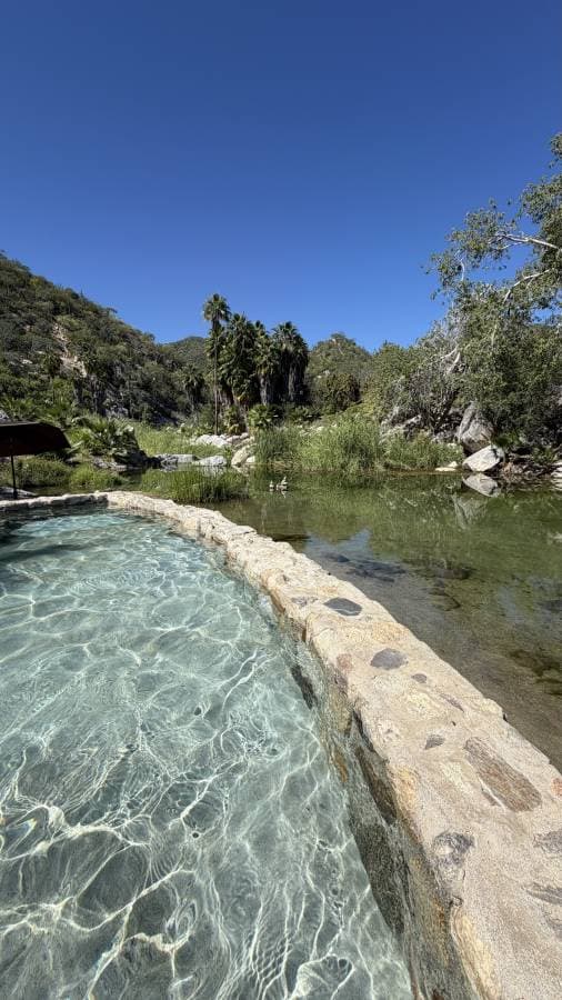 Photo 2 by Sasha F. (10/31/25)